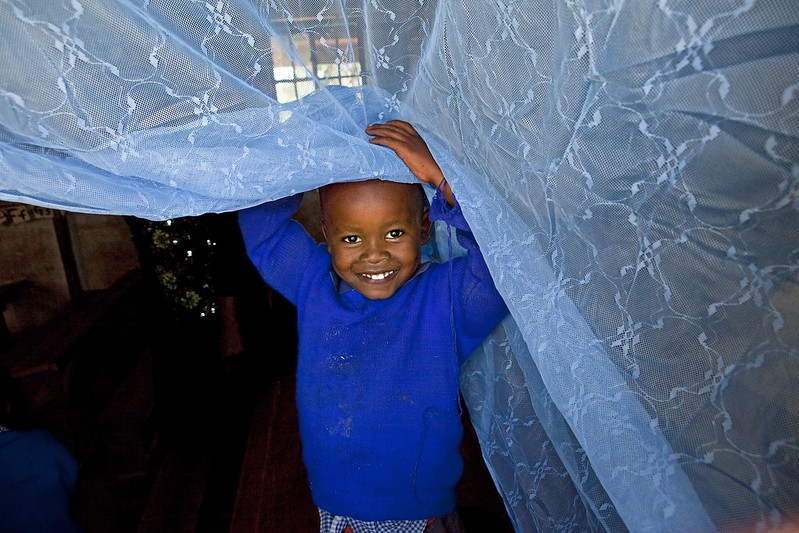 A child standing underneath an insecticide-treated net. Credit: Georgina Goodawin /Vestergaard Frandsen
