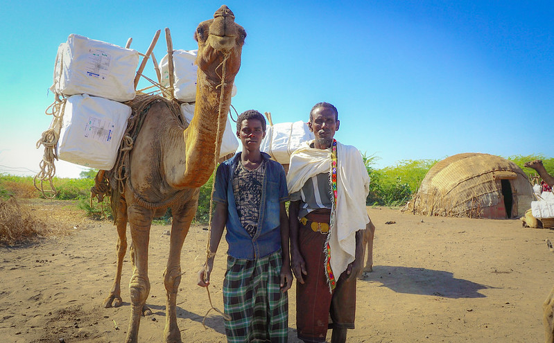 Two men standing in front of a camel that is carrying packages of insecticide-treated nets for distribution. Photo Credit: Troy Beckman/USAID